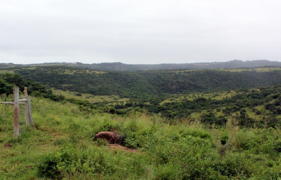 Commercial Property for Sale in East London Rural Eastern Cape